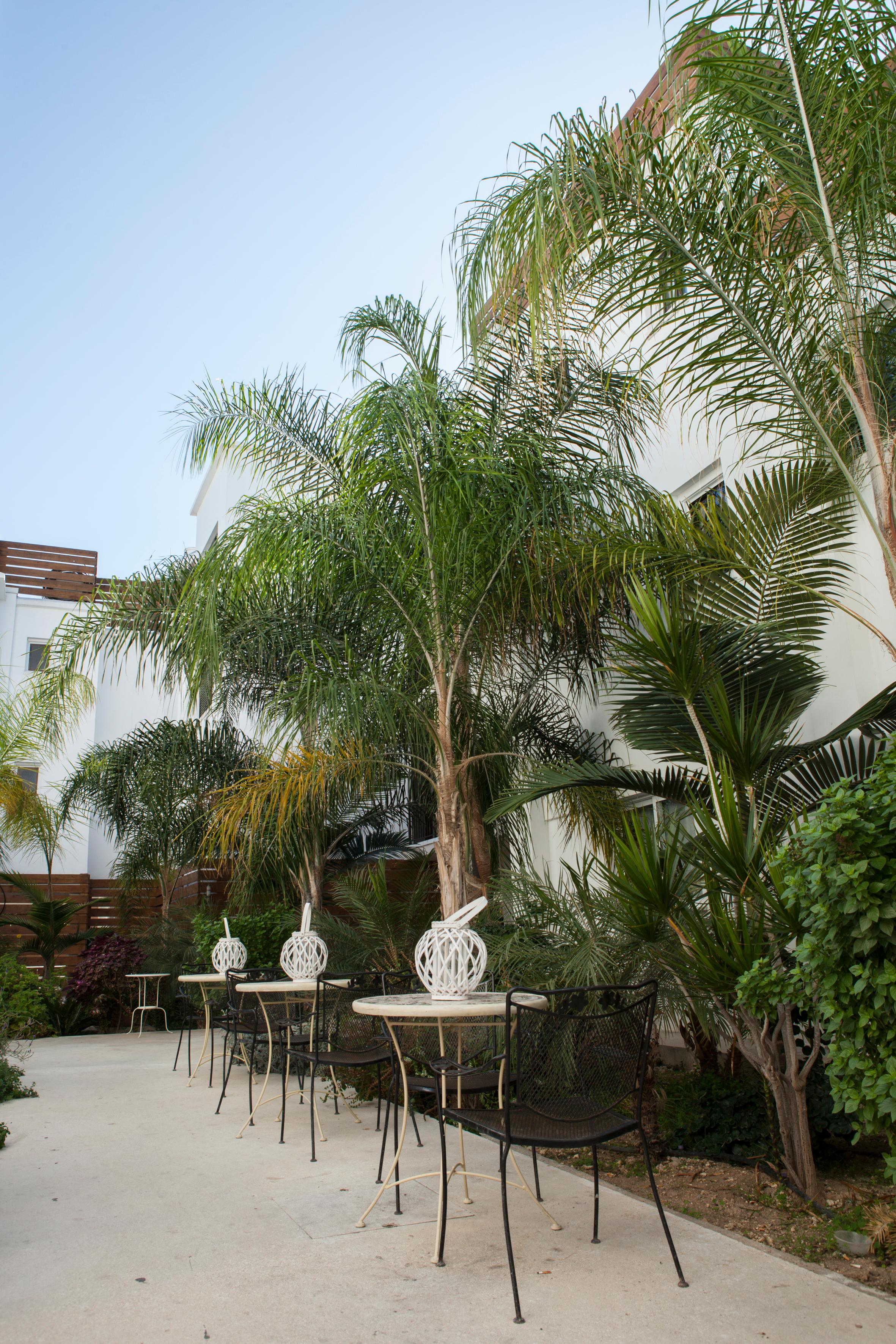 Alecos Hotel Apartments Paphos Esterno foto